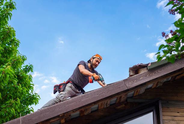 Best Rubber Roofing (EPDM, TPO)  in New Buffalo, MI