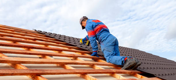 Best Solar Panel Roofing Installation  in New Buffalo, MI