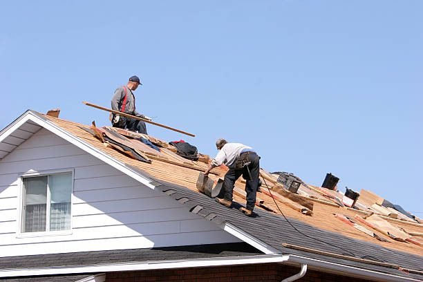 Best Rubber Roofing (EPDM, TPO)  in New Buffalo, MI